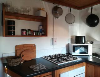 Druid cottage - 1