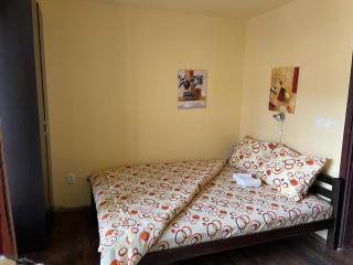 MIN apartman Goc - Vrnjačka Banja - 6