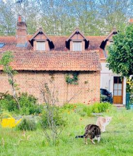 Maison 5 chambres à Lamotte, entre canal et centre équestre - Lamotte-Beuvron - 3