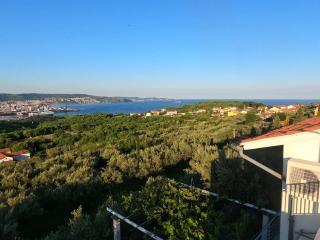 House among olive trees with a sea view 1 - 8