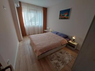 White grapes apartment - Petrič - 4