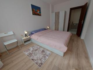 White grapes apartment - Petrič - 5