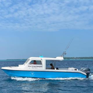 Daisy Cottage Dhangethi - Dhangethi - 4