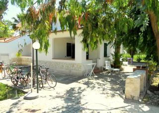 Residence Palm Garden - Vieste - 5