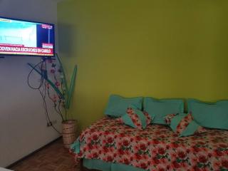 Departamento Centrico Mar del Plata, 2 ambientes - Mar del Plata - 5
