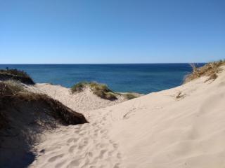 Strand-Wohnung am Bakenberg - Dranske - 6