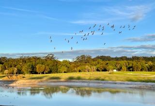 Sixty6 Acres Sunshine Coast farmstay - Woombye - 6