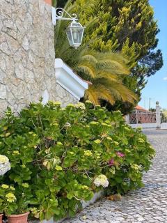 Quinta do Alto dos Pinheiros - 3