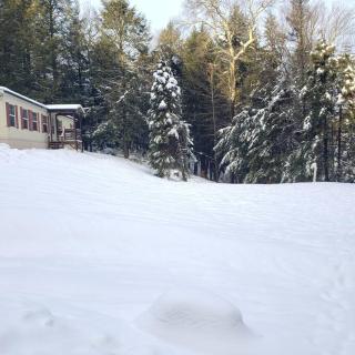 Tranquil renovated house in woods - great for families year around - 1