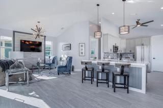 TWO, YES, TWO brand new homes, side by side, creating the Palace to fit the entire crew, home - Fort Myers Beach - 8