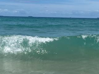 BEACH Luxury Upmarket 2B 2B OCEAN VIEWS 250m to BUDDINA BEACH! - 9