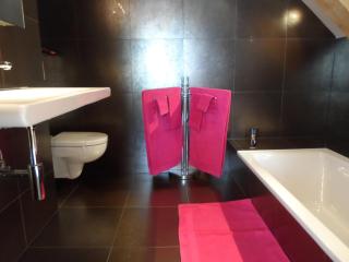 Chalet Atelier - Davos - 1