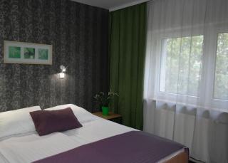 Hotel George - Nadarzyn - 3