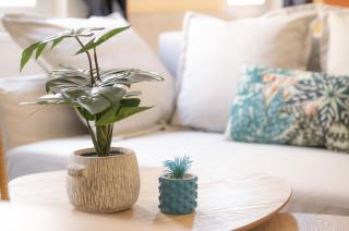 Centre Ville - Cocon Des Bois - Gare - Saverne - 2