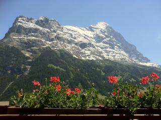 Hotel Bernerhof Grindelwald - Grindelwald - 3