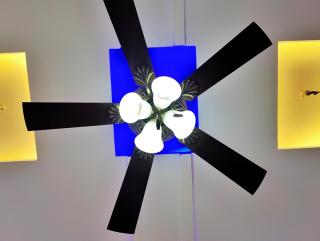 Blue Stone Homestay, Kasauli - STAGS not allowed - 3