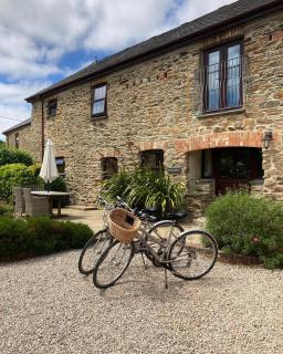 Callestock Courtyard Cottages - Truro - 8