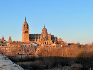 Almamater salamanca - 5