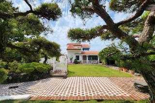 Palm Tree Villa - Seogwipo - 9