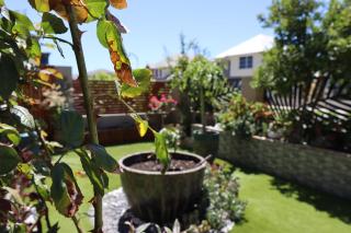 Comfortable Luxury Home - Perth - 8
