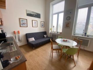 Apartmán v Lesní - 4