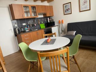Apartmán v Lesní - 7