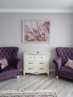 Luxury Stefan cel mare Apartment - 7