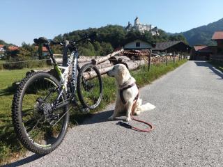 ciao-aschau FeWo Röder - 5