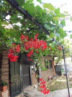Casa Hariton - Drăguş - 3