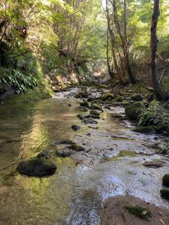 かげやんのいえ　KAGEYAN NO IE - 5