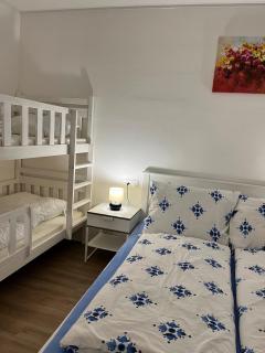 Aviatik apartmány-Černý Důl - Černý Důl - 5