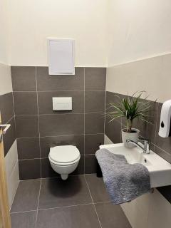 Aviatik apartmány-Černý Důl - Černý Důl - 3