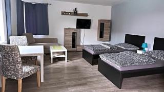 Aparthotel DKS - Chomutov - 8
