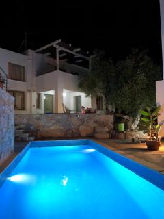 Mourtzanakis Residence - Traditional Eco Hotel in Achlada - Achlada - 5