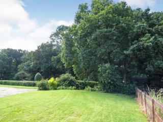 Woodland House B & B - Wimborne Minster - 3