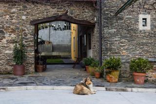 Casa A Curiscada - 6