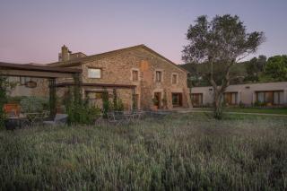 Hotel Mas del Sol - Vall-llobrega - 9