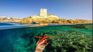 Sun Sea Living Gozo - Xlendi - 7