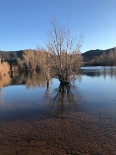 gite Au Bout du Chemin - 5