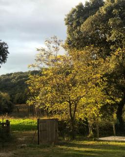 gite Au Bout du Chemin - 4