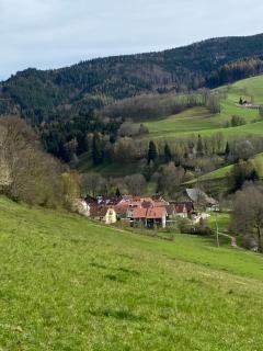 Schwarzwaldglück Apartment - Oberried - 6