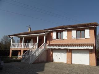 Grand Appartement avec cheminée dans maison, parking gratuit - Mionnay - 9