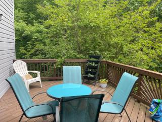 Mountain Bliss Retreat near Asheville & Charlotte - Kings Mountain - 8