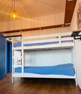 Tortuga blue house in banana plantation - Arucas - 7