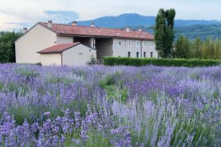 Casa Perazzolo - Montecchia di Crosara - 3