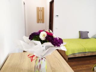 Pensiunea Florilor Satu Mare - 5