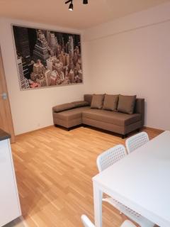 Brand new two room apartment #26 with free secure parking close to center - Prague - 4