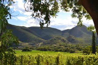 De Kombuys - Oudtshoorn - 2