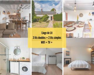 CABANA & LES PORTES DE LA FORÊT D' ORLÉANS - Nevoy - 9