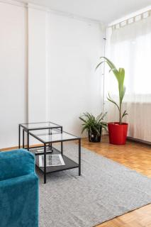 Lovely Studio with a big terrace - Belgrado - 9